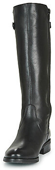 Dorking Tierra noir