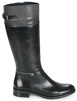 Dorking Tierra noir gris