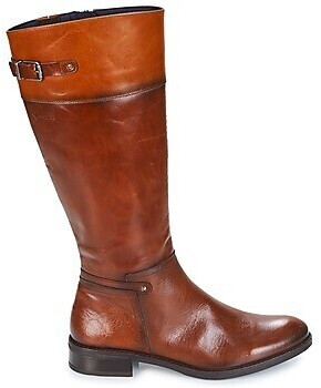 Dorking Tierra marron