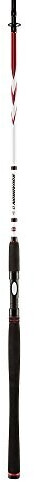Penn Squadron II SW Spin 2,70 m 20-50 g