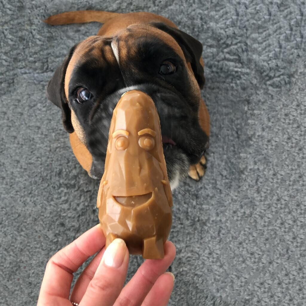 Duvo+ Friandises dentaires pour chien 6cm 270g Duvo+ Friandises dentaires pour chien 6cm 270g