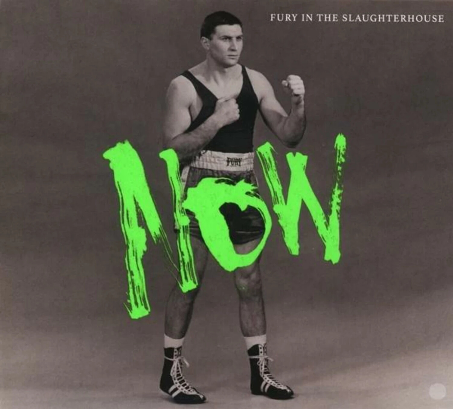 Fury In The Slaughterhouse - Now (Vinyl)