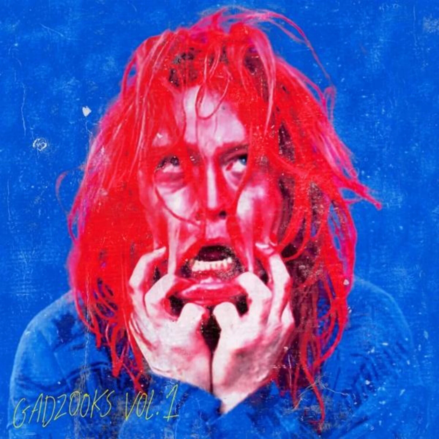 Caleb Landry Jones - Gadzooks Vol.1 (Vinyl)