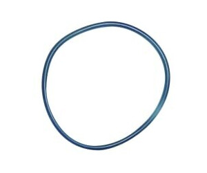 Unger 15886 HiFlo Dichtungsring Vorfiltergehäuse Ersatzteil für DI400 und DI800 Wasserfiltersystem