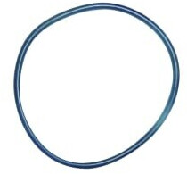 Unger 15886 HiFlo Dichtungsring Vorfiltergehäuse Ersatzteil für DI400 und DI800 Wasserfiltersystem