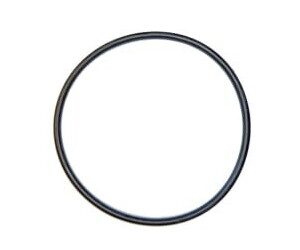 Unger 17020 HiFlo Dichtungsring Filtergehäuse Ersatzteil für DI140 Wasserfiltersystem