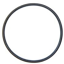 Unger 17020 HiFlo Dichtungsring Filtergehäuse Ersatzteil für DI140 Wasserfiltersystem