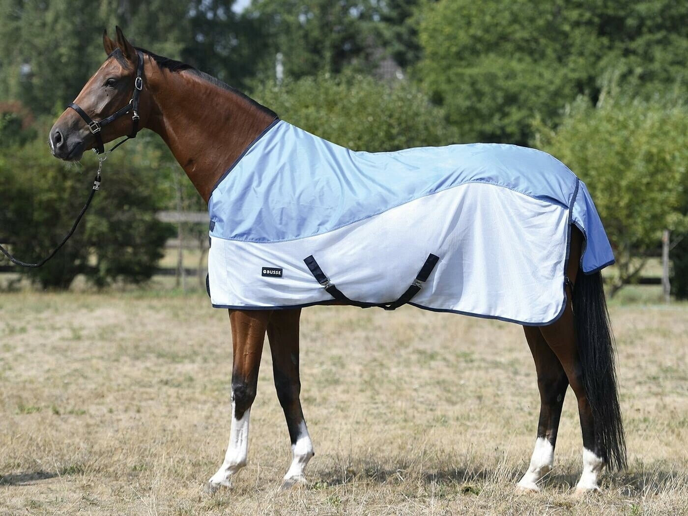 Busse Outdoor Blanket RAINFLY