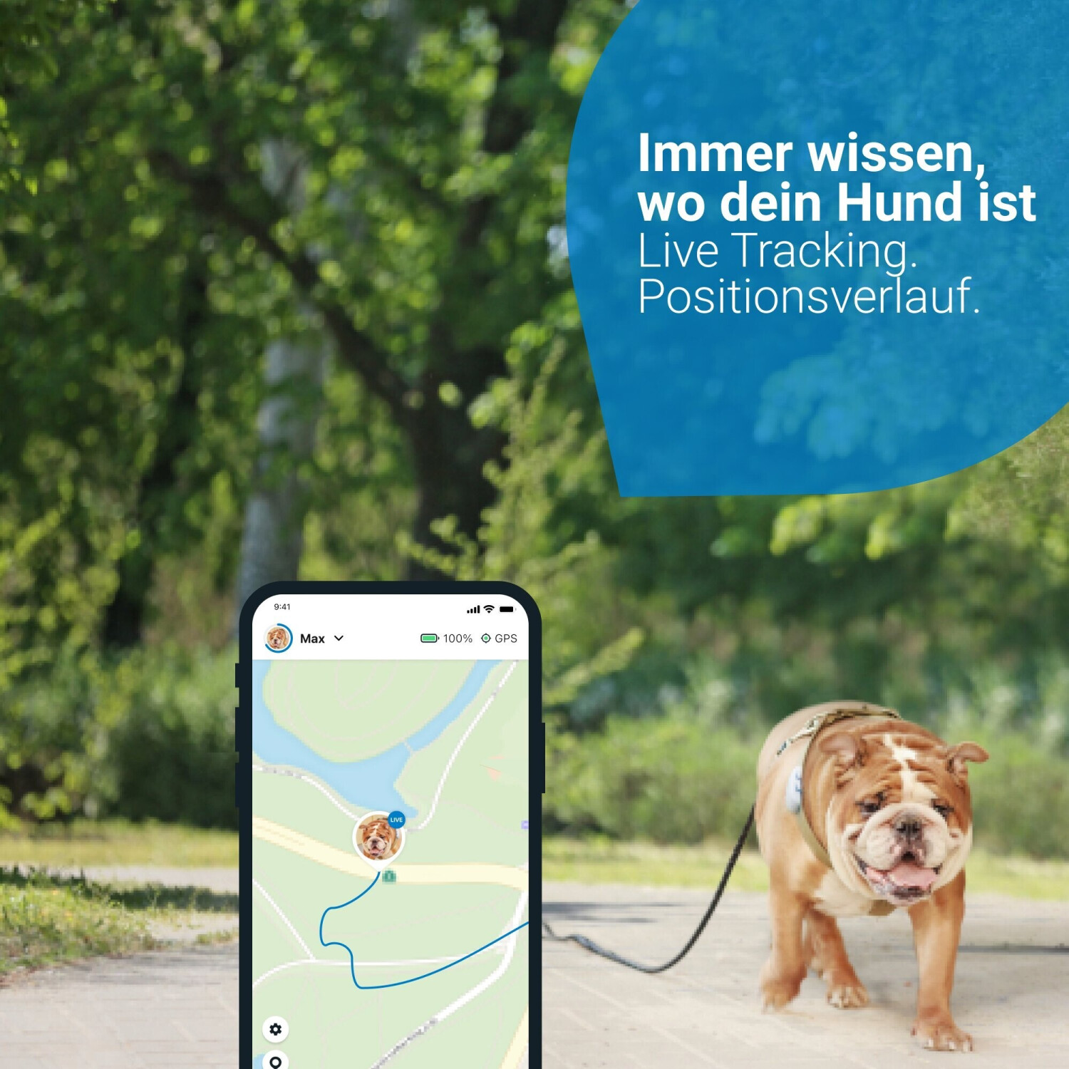 Tractive GPS DOG XL - GPS Tracker für Hunde - green - kaufen bei