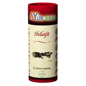 Ayur-vana Shilajit (60 gélules)