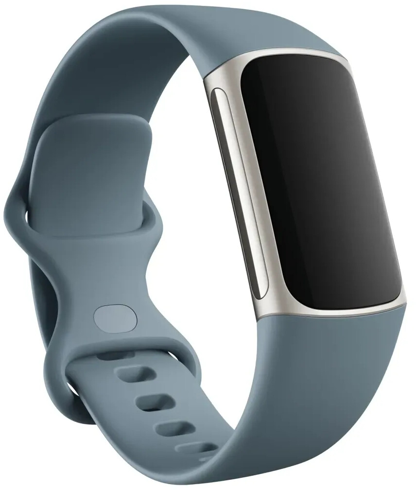 Fitbit Charge 5 Activity Tracker - Steel Blue/Platinum Stainless Steel for  sale online