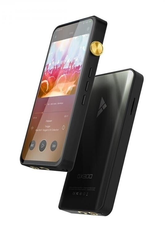iBasso DX300
