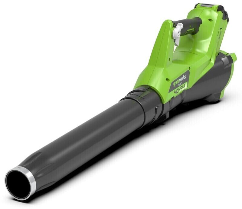 Greenworks 438328