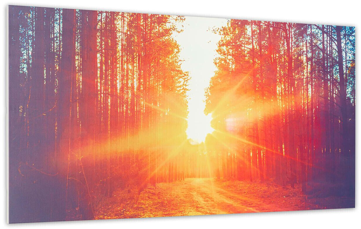 Klarstein Wonderwall Air Art Smart Sentier forestier 120 x 60 cm