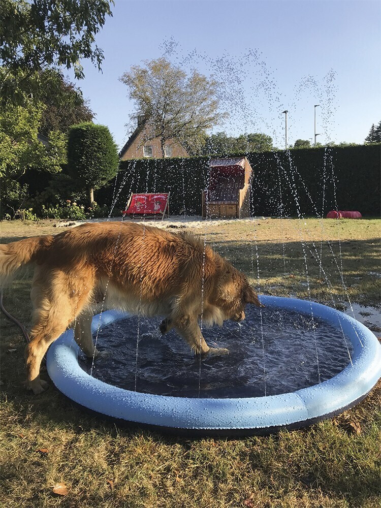 Nobby Piscine pour chien 150cm Blue Nobby Piscine pour chien 150cm Blue