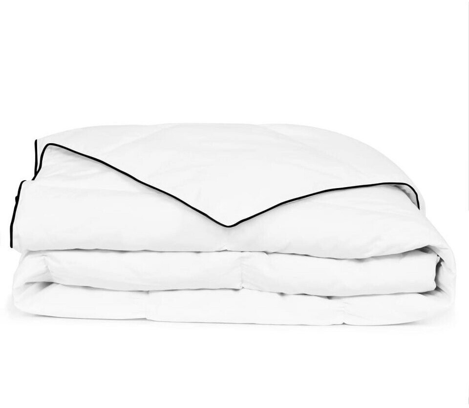 vidaXL Couette en duvet d'hiver (200 x 200 cm)