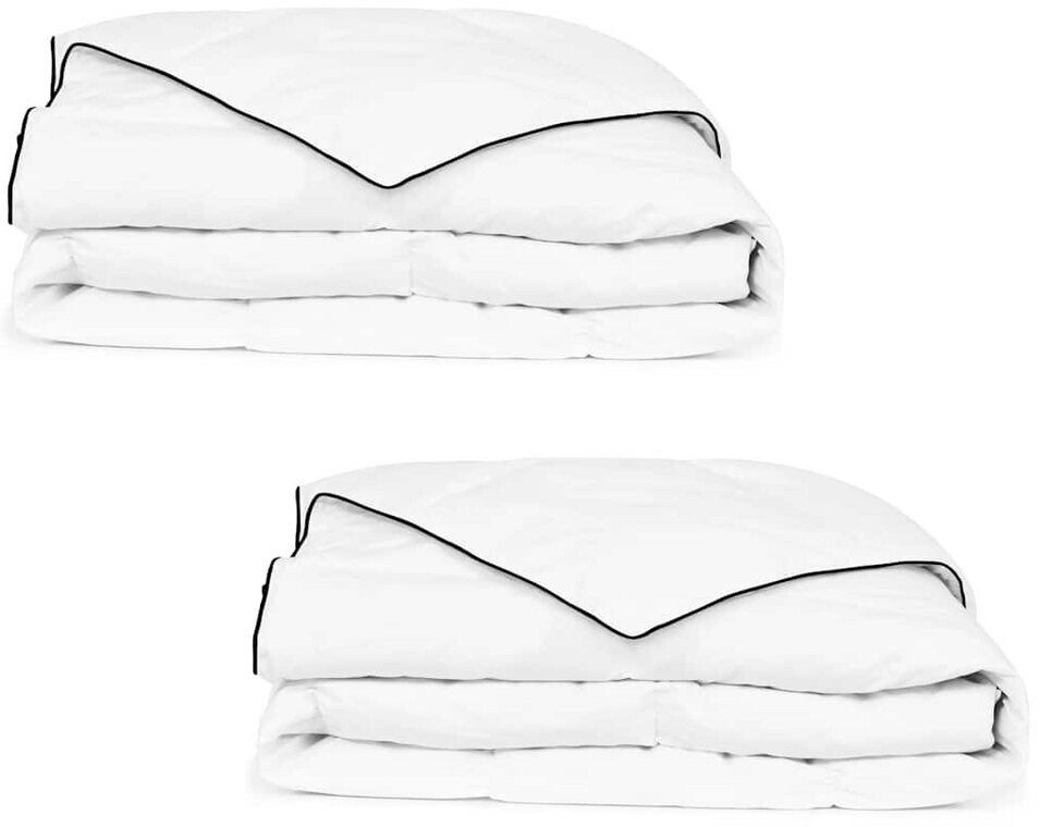 vidaXL Couette en duvet d'hiver (135 x 200 cm) (2 pcs)