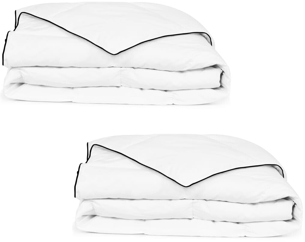 vidaXL Couette en duvet d'hiver (140 x 200 cm) (2 pcs)