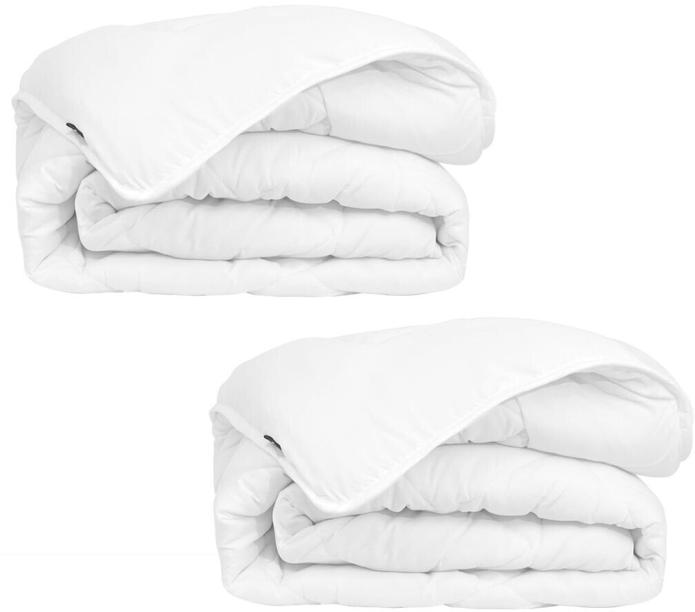 vidaXL Couette d'hiver (155 x 220 cm) (2 pcs)