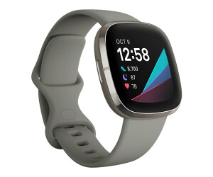 Fitbit Sense Silver desde 355 54 Compara precios en idealo