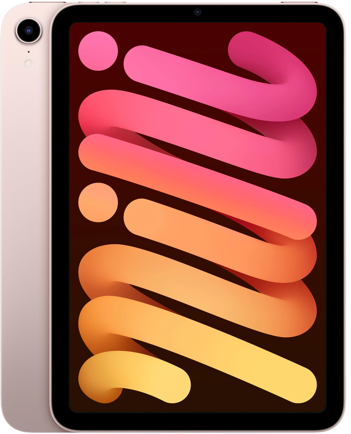 Apple iPad mini 64GB WiFi rosé (2021) ab 555,65 € | Preisvergleich 