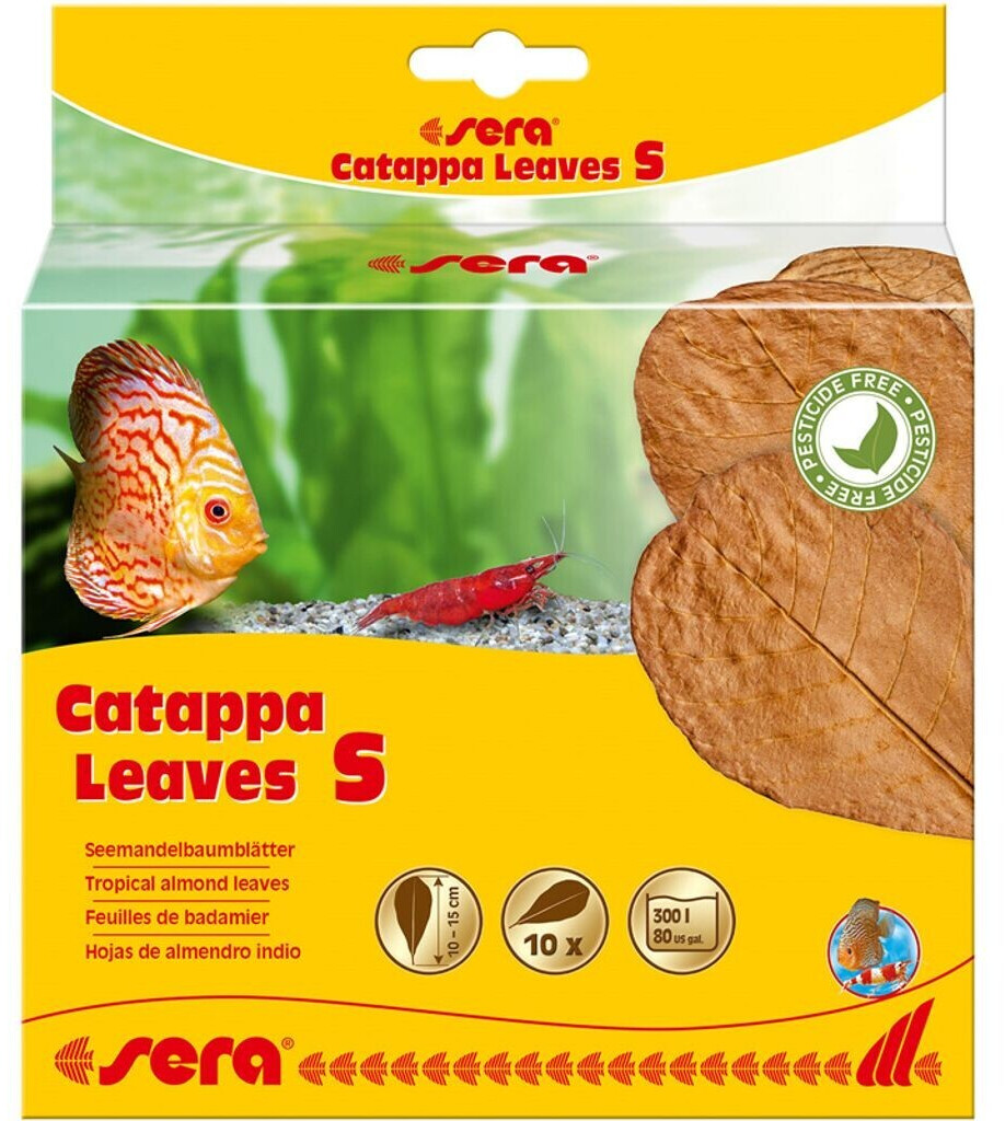 sera Catappa Leaves