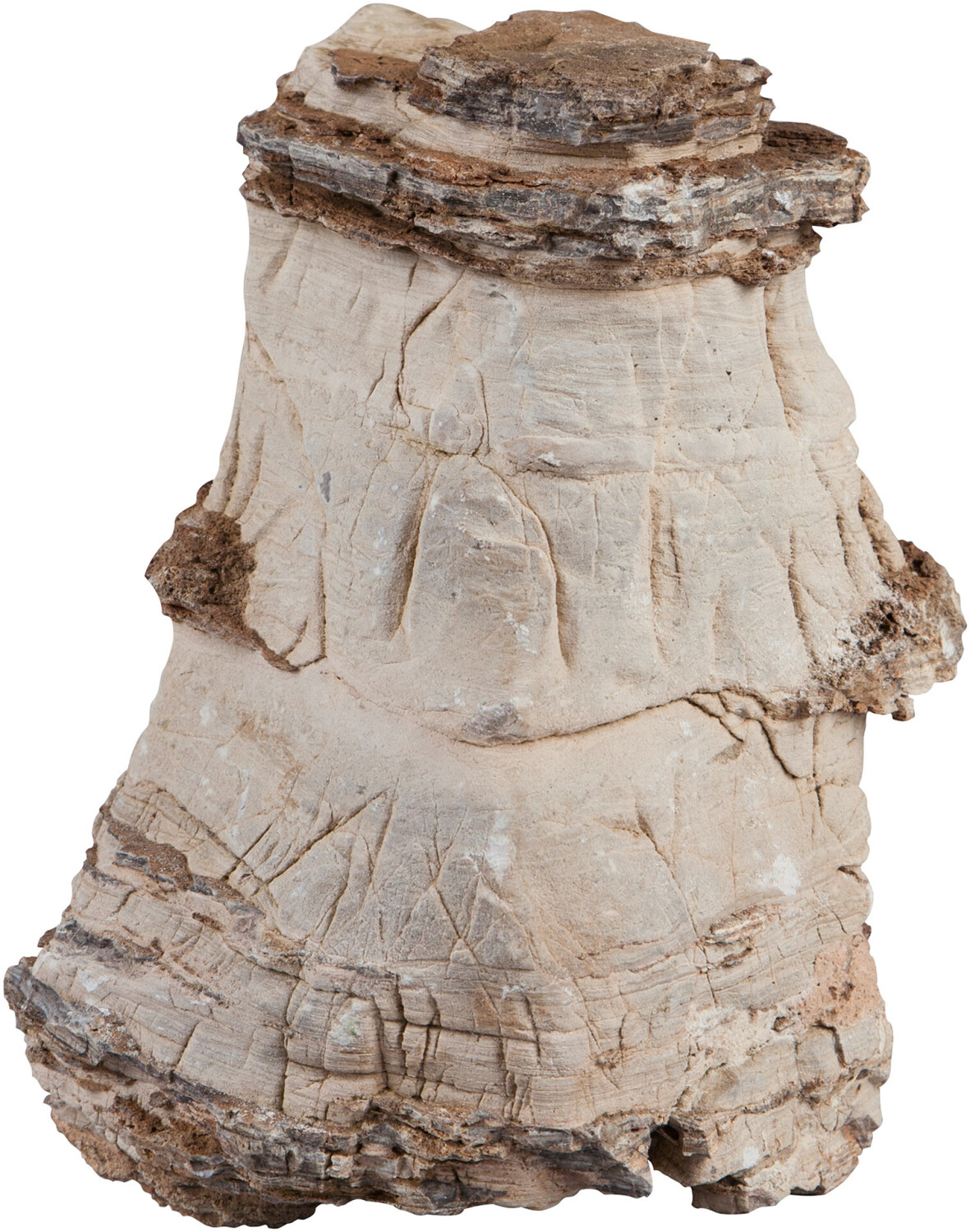 sera Rock Asian Pagoda XXL