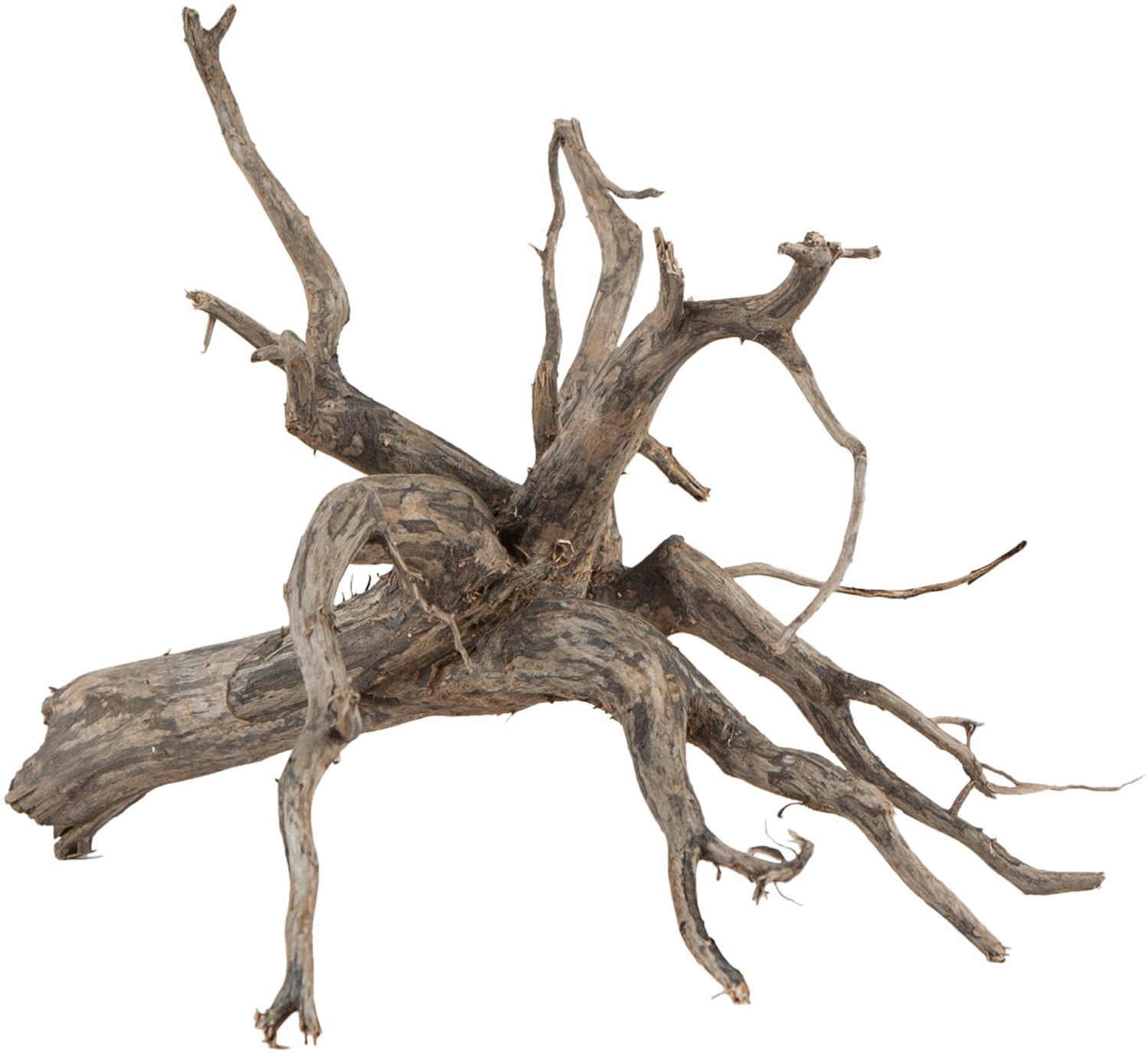 sera Scaper Root