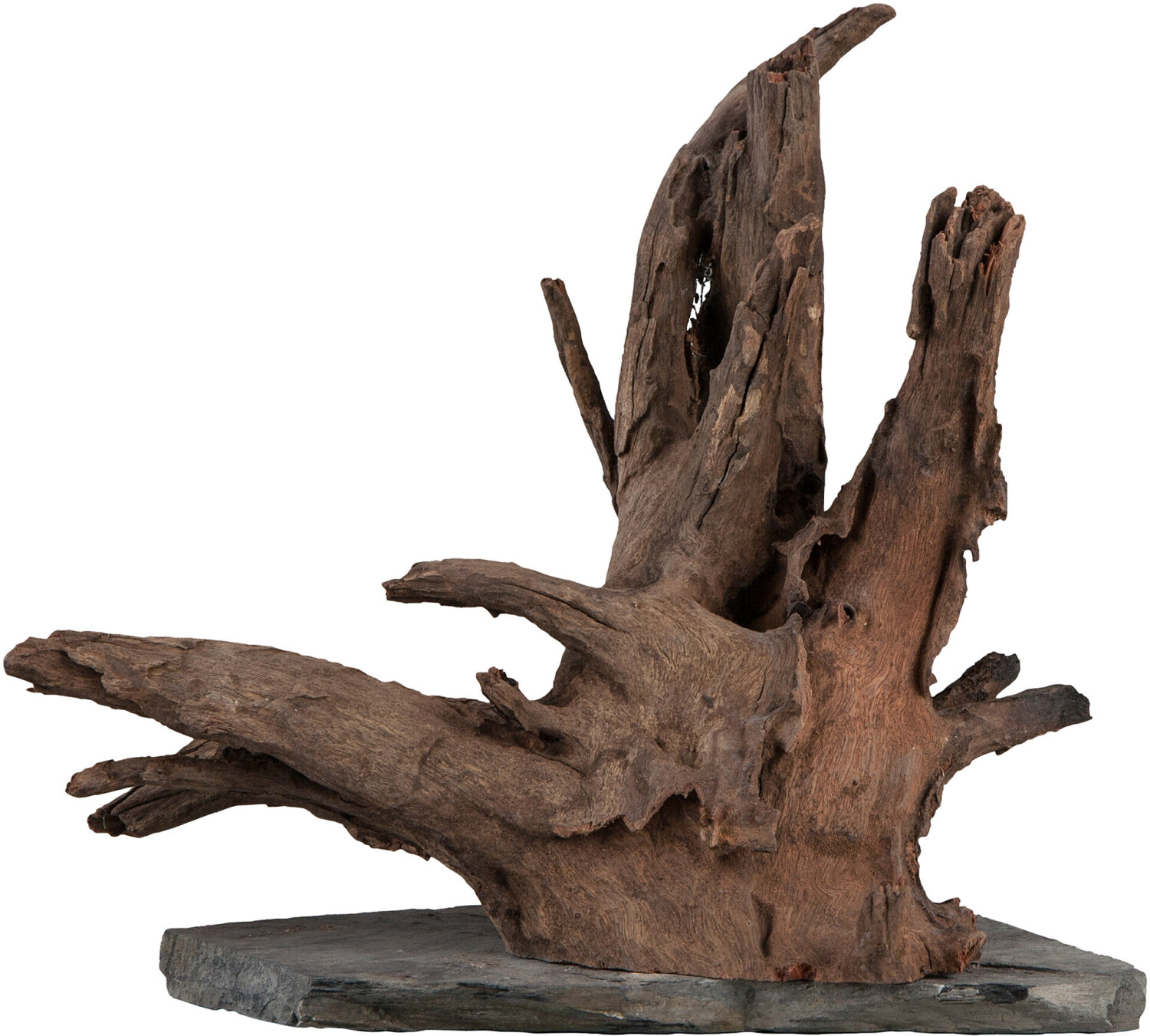 sera Scaper Wood L 30-35cm