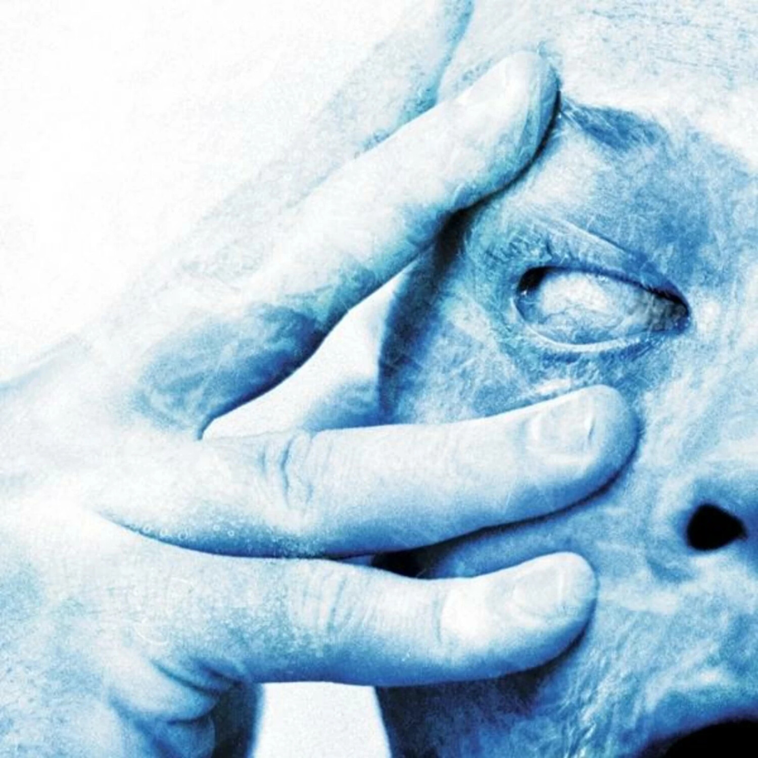 Porcupine Tree - In Absentia (Gatefold Black 2LP) (Vinyl)