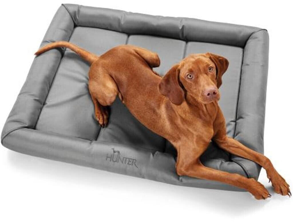HUNTER Tapis pour chien 90x60cm Grey HUNTER Tapis pour chien 90x60cm Grey