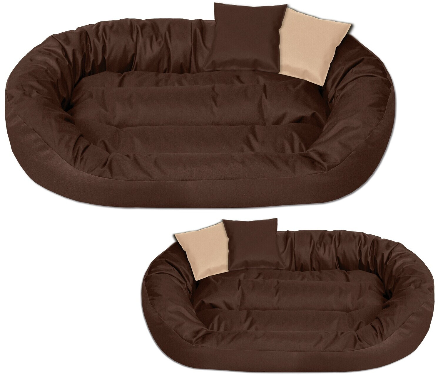 BedDog SUNNY 3XL CHOCOLATE
