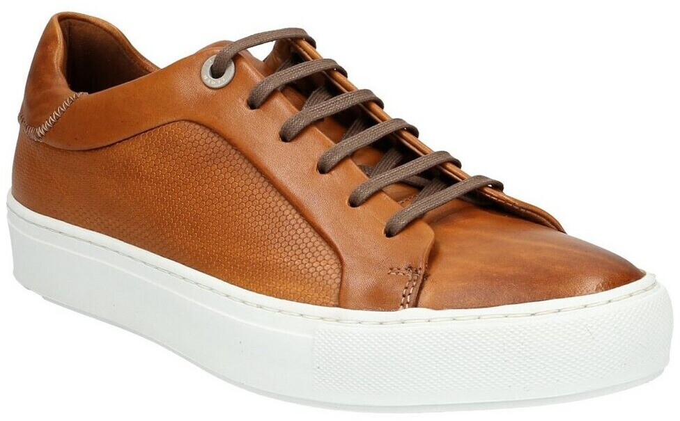 LLOYD Low Top Trainers (10-033) brandy