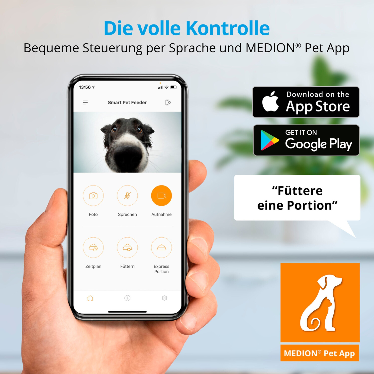 Medion Distributeur de nourriture pour chien Medion Distributeur de nourriture pour chien