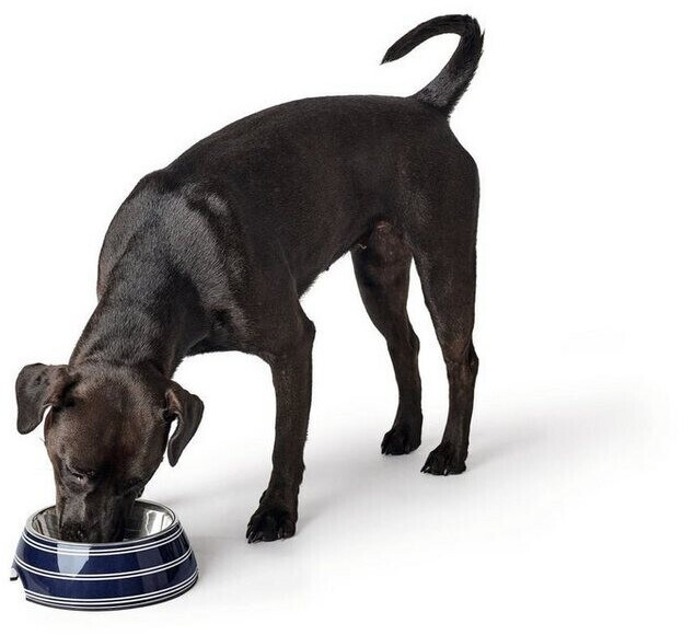 HUNTER Gamelle pour chien 350ml Blue/White HUNTER Gamelle pour chien 350ml Blue/White