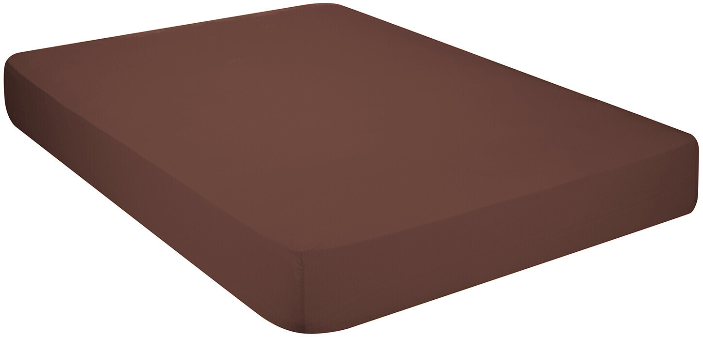 Pikolin Home Fitted Bed Sheet 100% Cotton 150 x 190/200 cm Chocolate