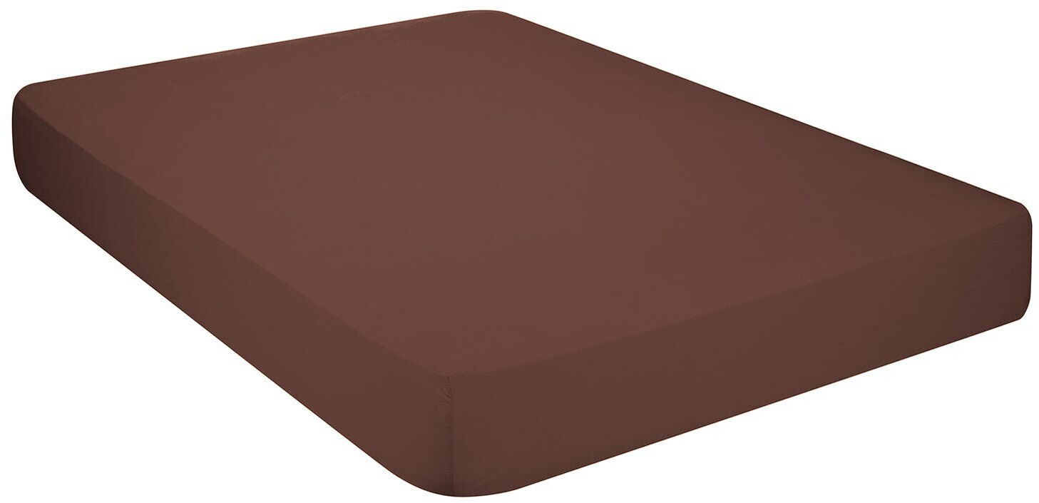 Pikolin Home Fitted Bed Sheet 100% Cotton 90 x 190/200 cm Chocolate