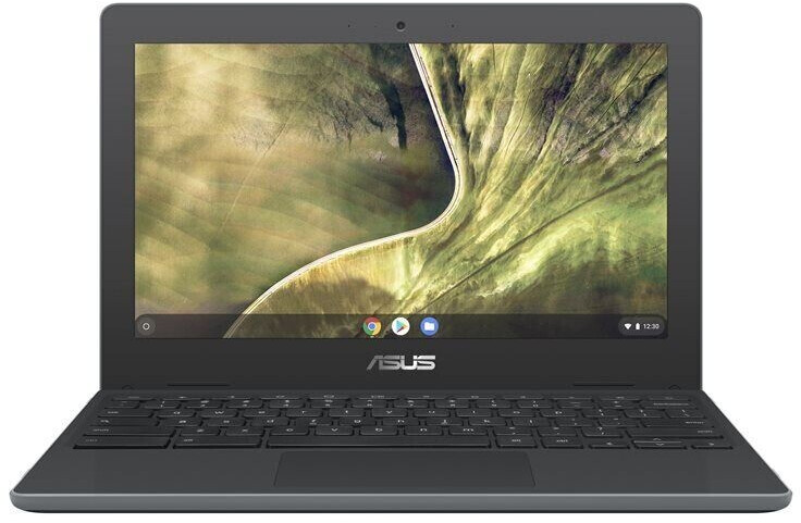 Asus Chromebook C204MA-GJ0438