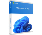  MICROSOFT Windows 11 PRO (Ingles) FPP 64-BIT ENG INTL USB Flash  Drive : Electronics