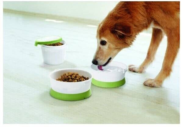 Curver Gamelle pour chien Curver Gamelle pour chien