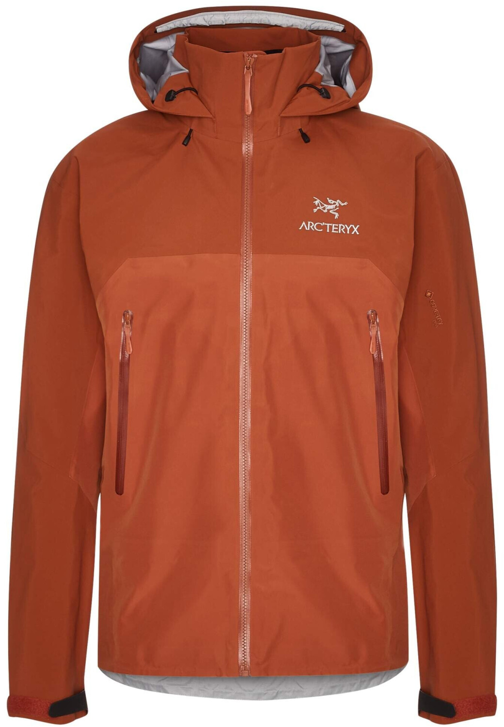 Arc'teryx Beta AR Jacke Man komorebi