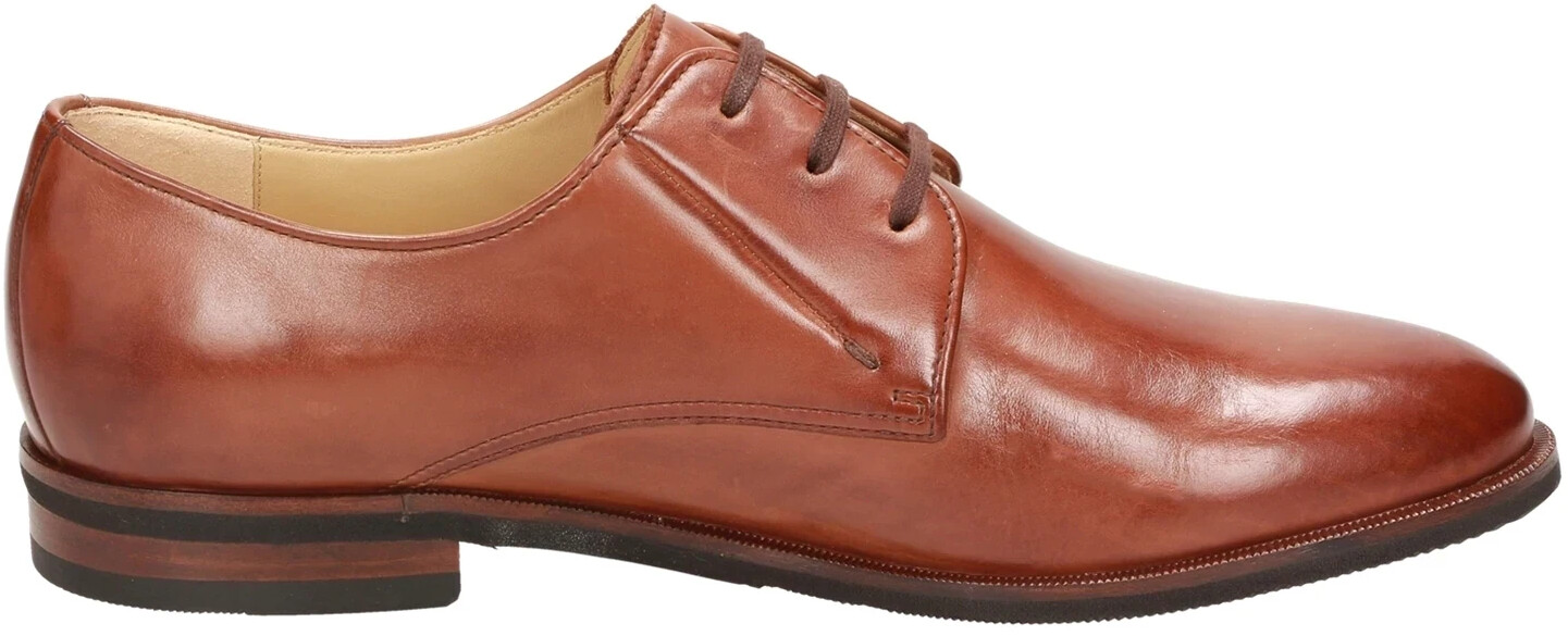 Sioux Boviniso-701 brown