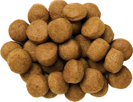 Hill's Croquettes pour chien 10kg