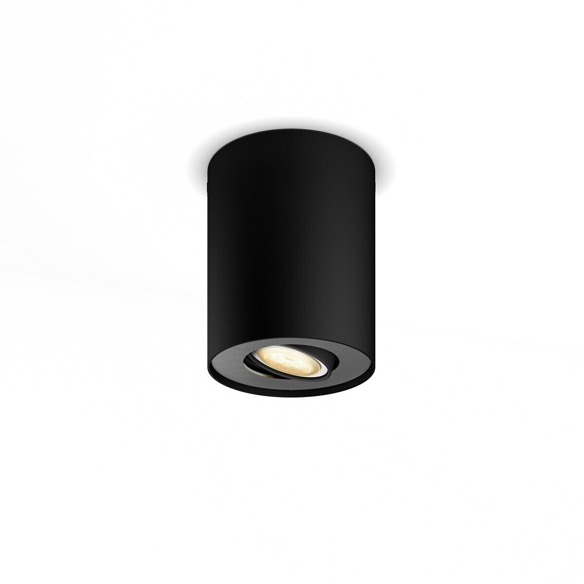 Buy Philips Hue White Ambiance Pillar Spot 2 lamps with dimmer switch at