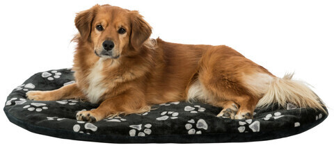 Trixie Coussin pour chien flat 98x62cm Black Trixie Coussin pour chien flat 98x62cm Black