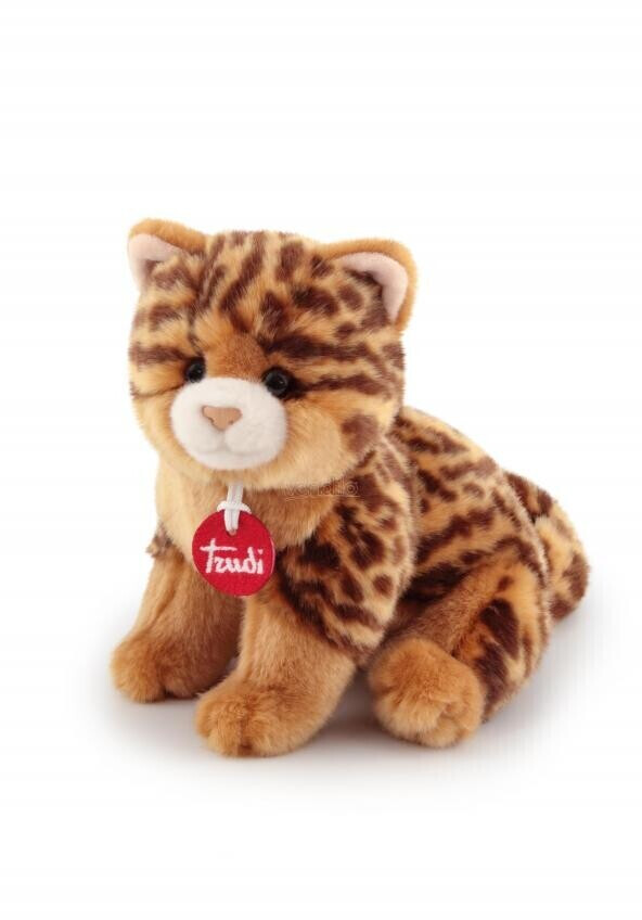 Trudi Brad (21041)