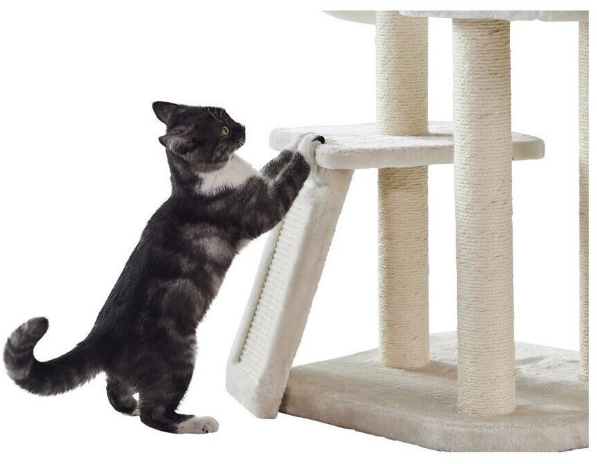 Nobby Arbre à chat