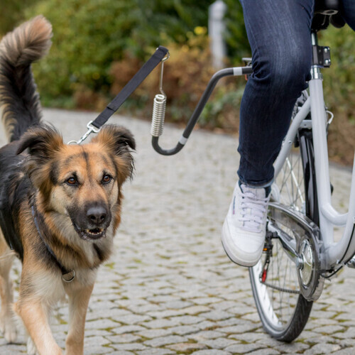 Trixie Laisse de vélo pour chien Trixie Laisse de vélo pour chien