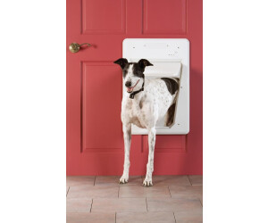 Smart dog hot sale door
