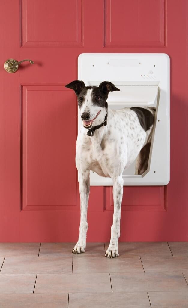 Petsafe Chatière